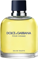 Dolce & Gabbana Pour Homme EdT Nat. Spray