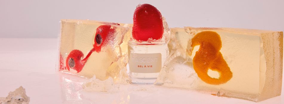 Fascent Parfum „Sel à Vie“ zwischen transparenten Eisblöcken mit roten Kirschen und Orangenzeste inszeniert.